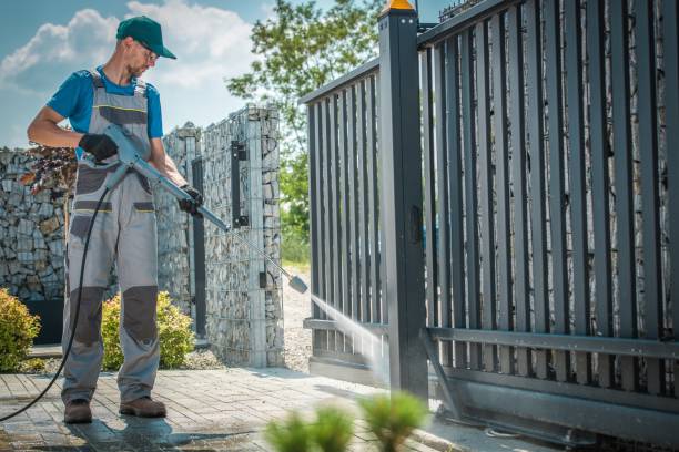 Best Solar Panel Cleaning  in Nash, TX
